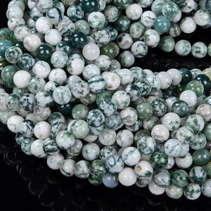 6MM Natural Green Tree Agate Gemstone Grade AAA Round Beads 15.5 inch Full Strand (80008209-D26)