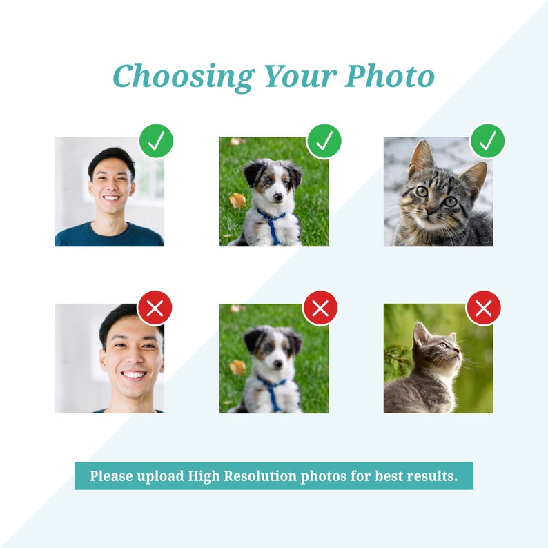May include: A guide on choosing the right photo for a product listing. The image shows three examples of good photos: a person, a dog, and a cat. The photos are clear and well-lit. Below the good photos are three examples of bad photos: a person, a dog, and a cat. The photos are blurry and poorly lit. The text below the photos reads: "Please upload High Resolution photos for best results."