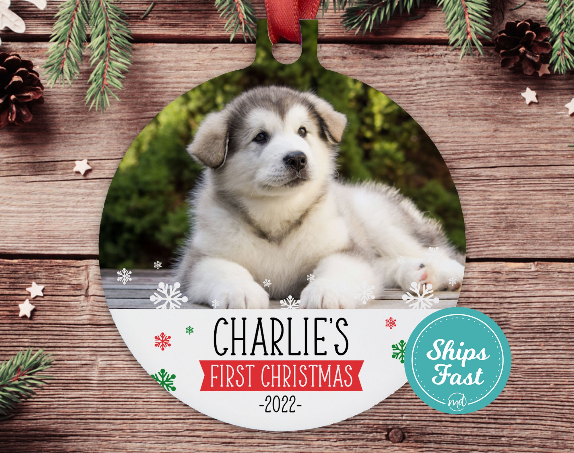 Discover Puppy First Christmas Ornament