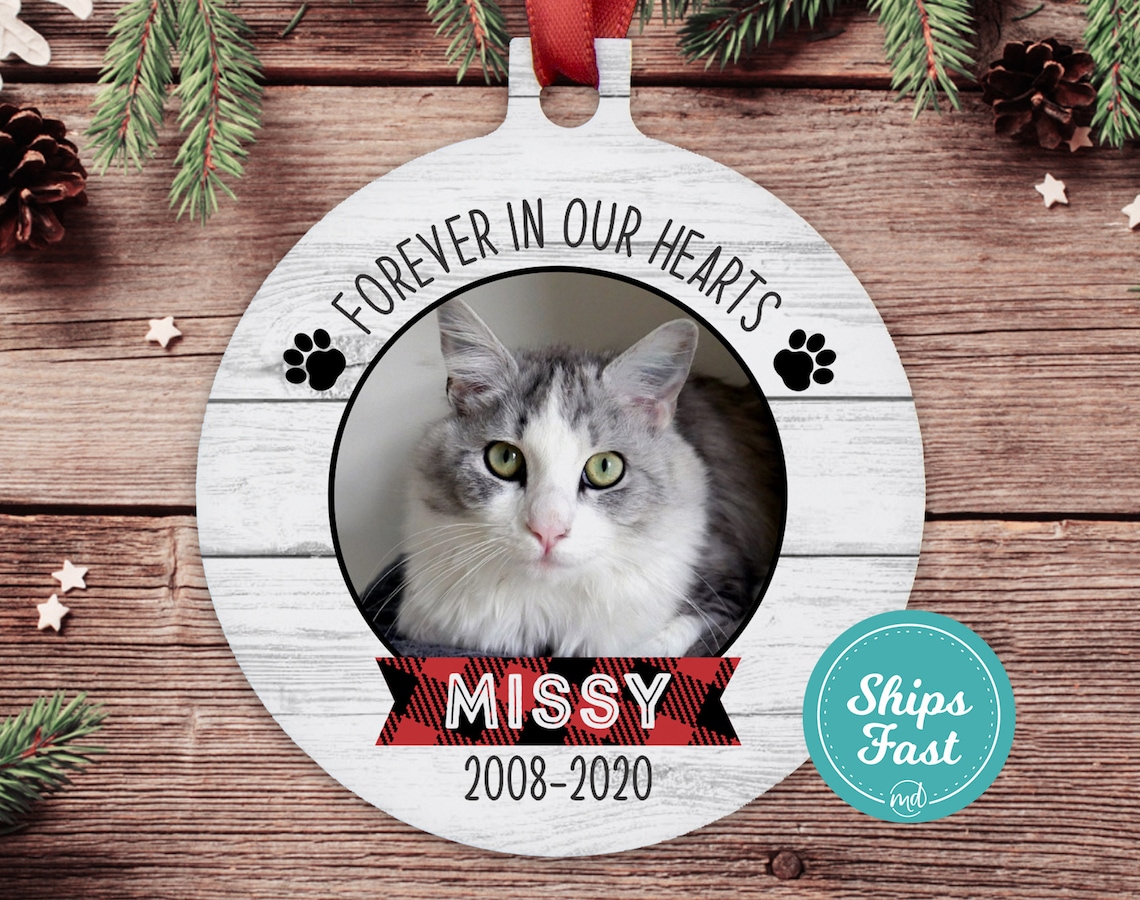 Cat Memorial Ornament With Picture Cat Memorial Ornament Etsy