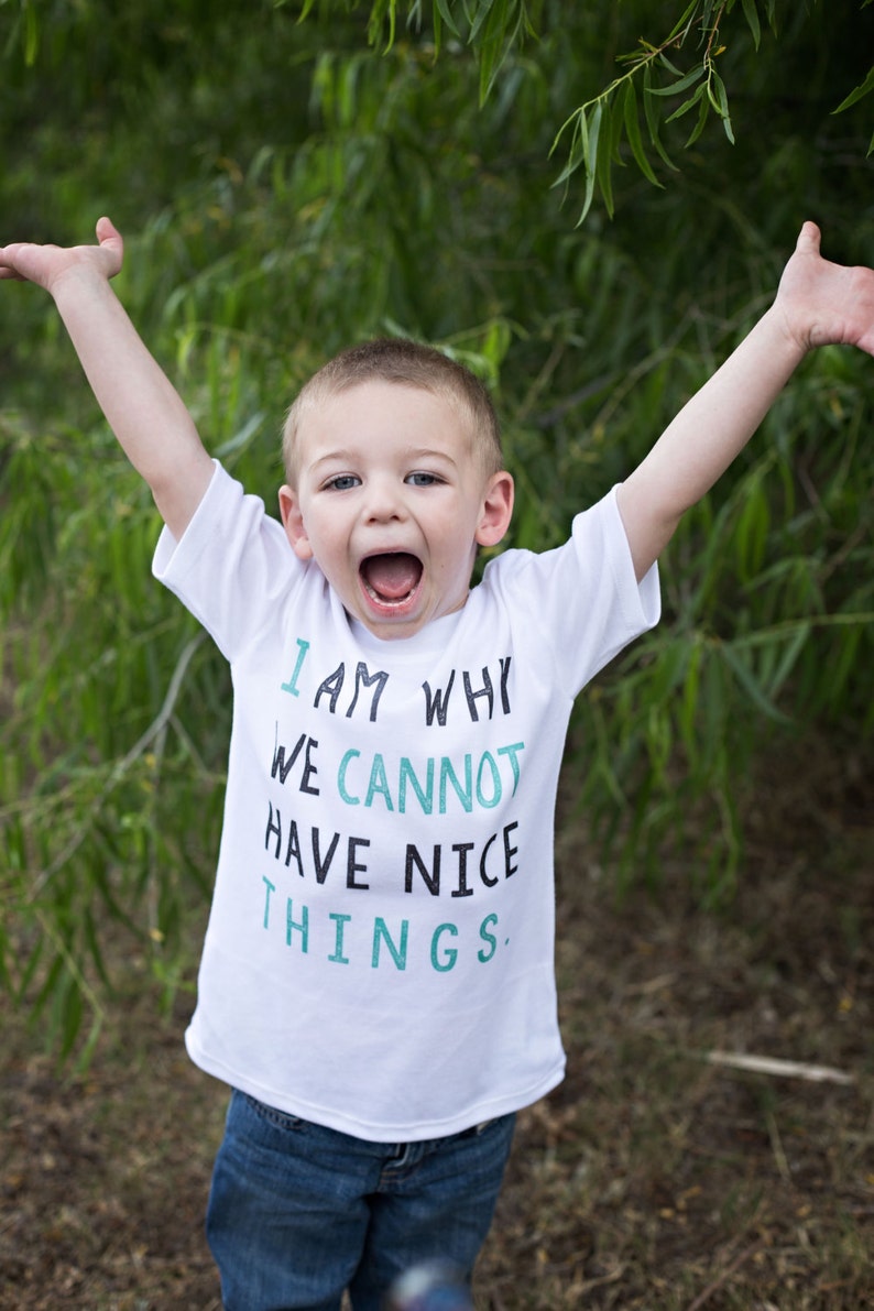 Funny Toddler Shirt, I Am Why We Cannot Have Nice Things, Toddler Tshirt, Funny Tshirts image 2