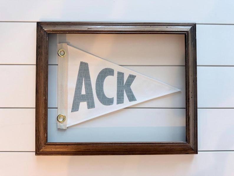 May include: A framed pennant with the word "ACK" in gray letters. The pennant is white and triangular, with gold grommets. The frame is dark brown, and the background is a light blue-gray. The wall behind the frame is white with horizontal lines.
