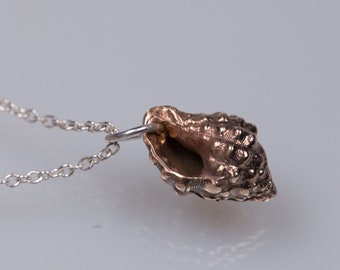 Tiny bronze shell pendant, sea life jewelry, sea shell necklace jewelry, shell charm bracelet, little girl shell pendant, ocean necklace