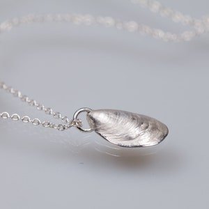 Op de afbeelding: Een zilveren ketting met een delicate ketting en een hanger in de vorm van een schelp. De hanger is getextureerd en heeft een natuurlijke, organische uitstraling.