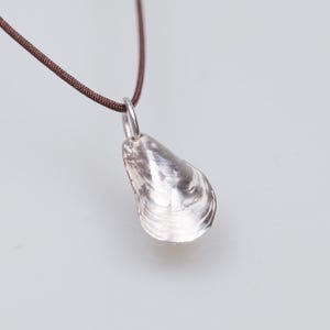 Puede incluir: Colgante plateado con forma de concha de mejillón, colgado de un cordón marrón. La concha tiene detalles de estrías y una superficie brillante. El colgante se muestra sobre un fondo blanco liso.
