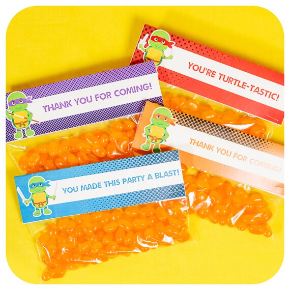 Teenage Mutant Ninja Turtle Party Tmnt Birthday Teenage Etsy