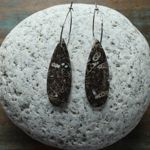 Turritella Fossil Agate Natural Stone Earrings | Stainless Steel Drop Earrings | Teardrop Shape | Hand Cut Stone