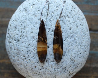 Australian Outback Jasper Earrings: Teardrop Dangle, Stainless Steel