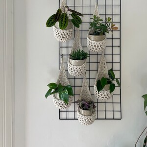 May include: A black metal grid wall with six hanging plant pots. The pots are white and crocheted. Each pot contains a different type of green plant.