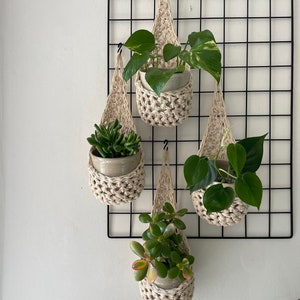 Puede incluir: Cuatro macetas colgantes de macramé con diferentes plantas en su interior. Las macetas están colgadas de una pared de rejilla metálica negra.