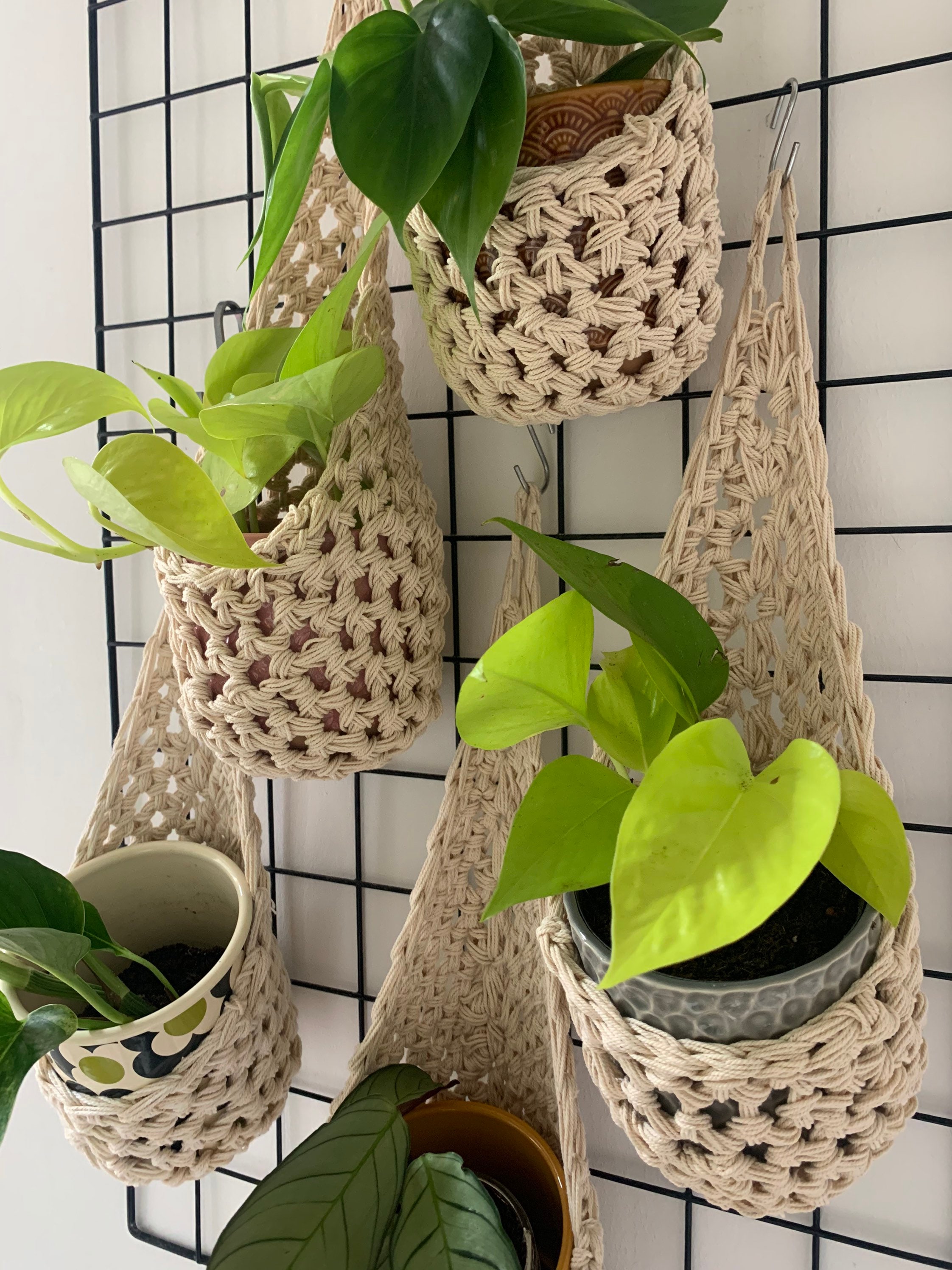 Macrame DIY Small Plant Hanger Kit for Beginners, Birthday Gift