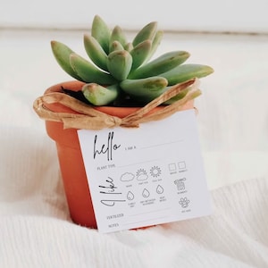 Cartes imprimables d'entretien des plantes : étiquettes de jardin numériques pour le suivi des fleurs et des plantes succulentes - téléchargement immédiat