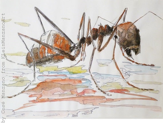 Water-color ant: Insect drawing, Self-made print of water-color painting, Limited edition of 5, Original art, Cosé Manzano, KleinManzanoArt