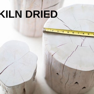 May include: Three white, kiln-dried wood stumps of varying sizes. The largest stump is being measured with a yellow tape measure, showing a diameter of 15 inches.