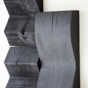 Shou-Sugi-Ban-Wood-Wall-Panels-Peaks-09