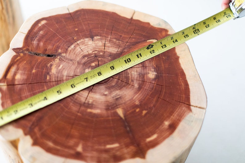 Large-Outdoor-Tree-Stump-Tables-Natural-07