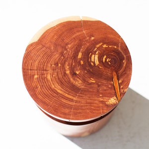 Small Side Table - The Sprout image 4