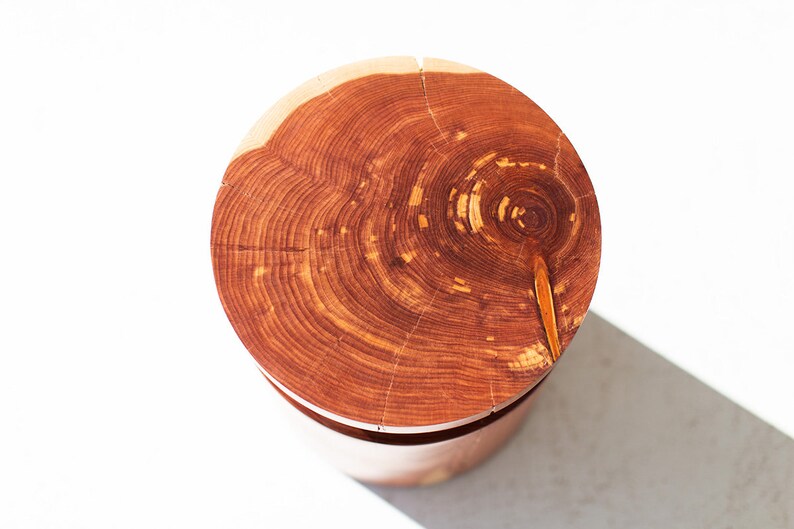 Small Side Table - The Sprout image 4