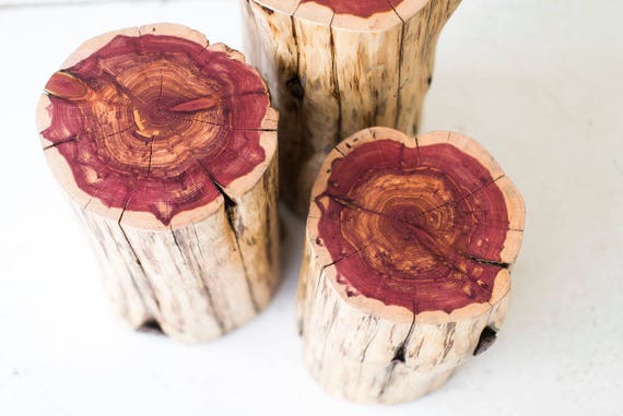 Tree Stump Table Natural Cedar Log Table Tree Trunk Table Etsy