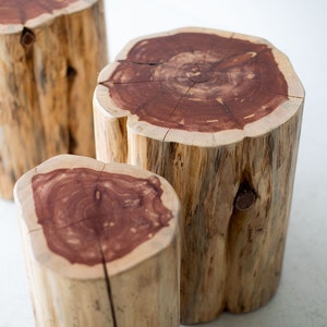 Large-Outdoor-Tree-Stump-Tables-Natural-05