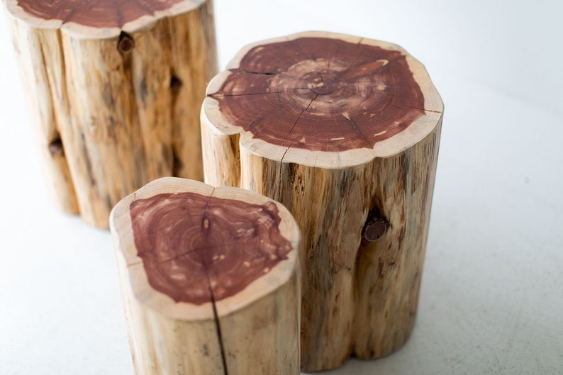 Large-Outdoor-Tree-Stump-Tables-Natural-05