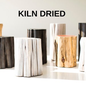 May include: A collection of six wooden stumps, each with a different finish, including natural, white, black, and a reddish-brown color. The stumps are all kiln dried and are arranged on a white surface. The text "KILN DRIED" is displayed above the stumps.