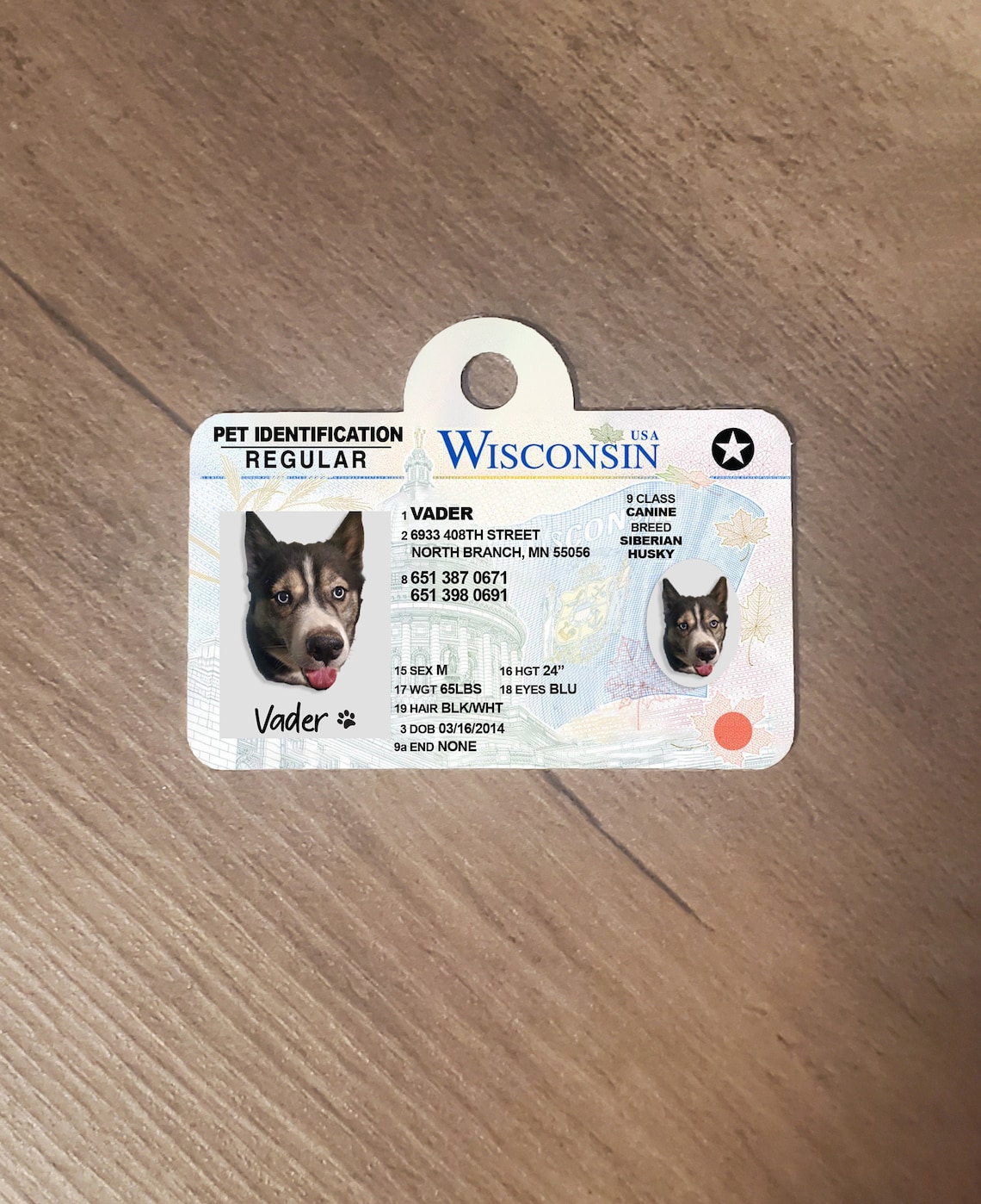 Custom Wisconsin Pet License ID Tag Etsy