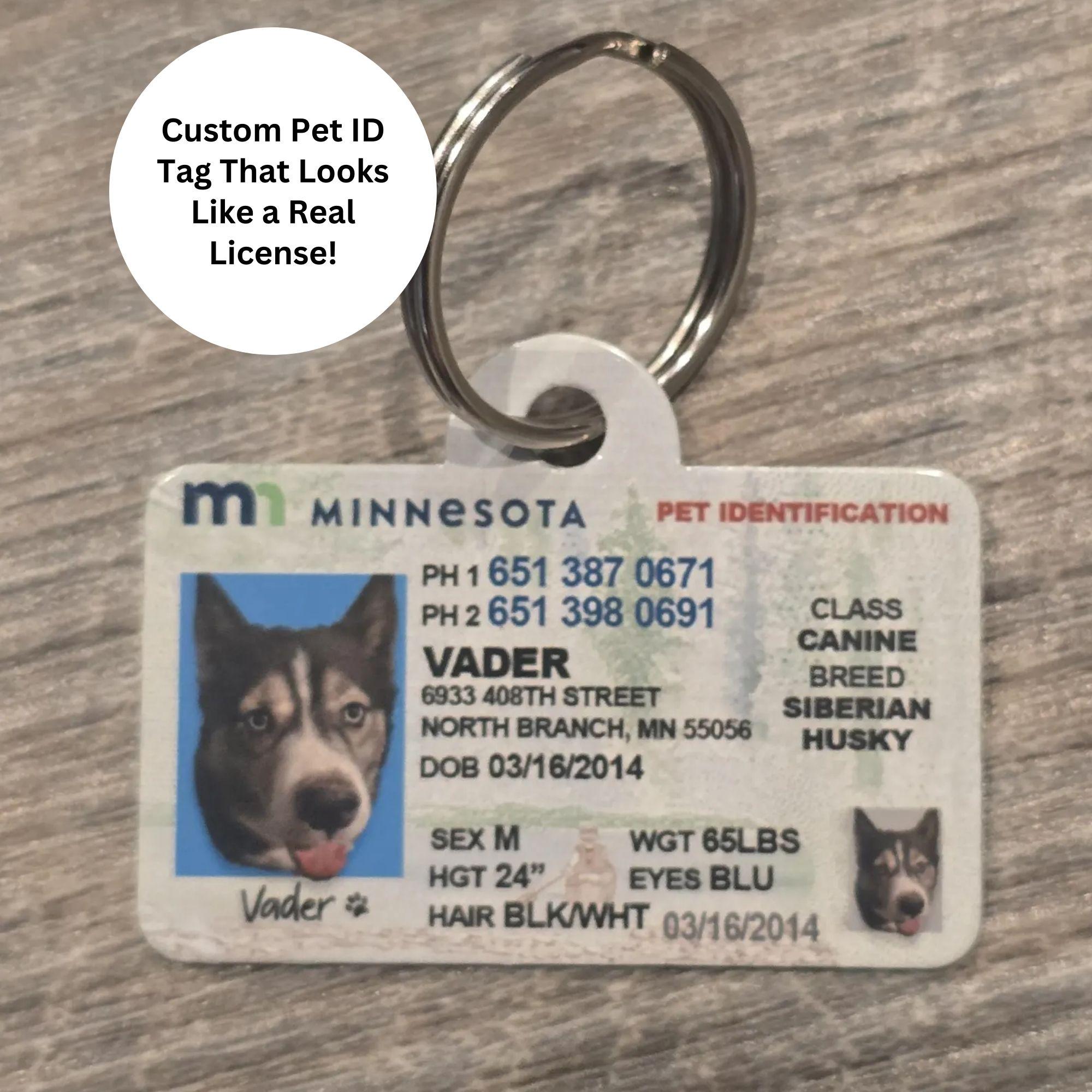 Dog License Custom Dog Id Tags Buy Dog License Tag Online In India