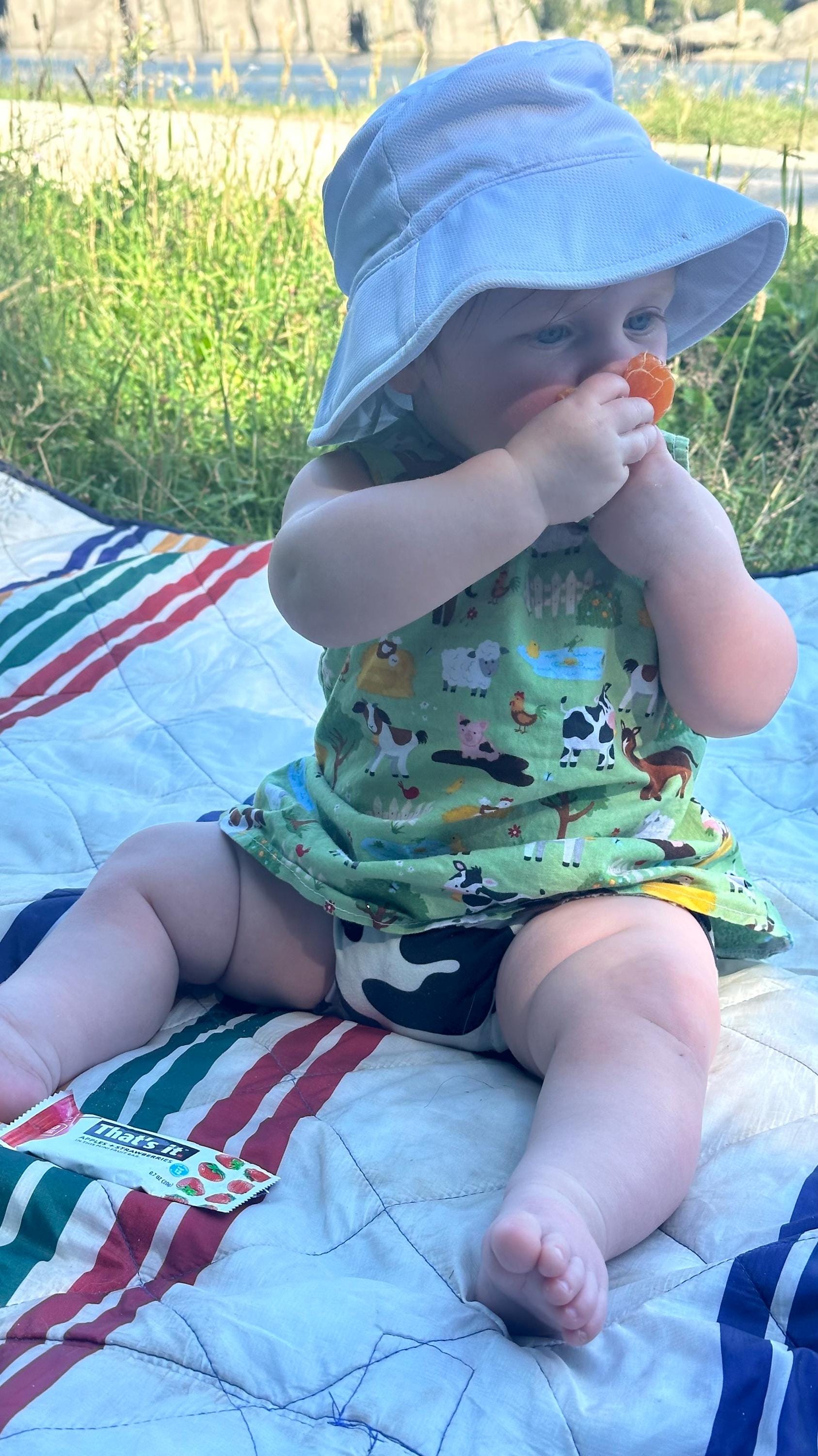 Farm Animals Cotton Dress: Handmade Spring Summer Toddler Outfit - Etsy