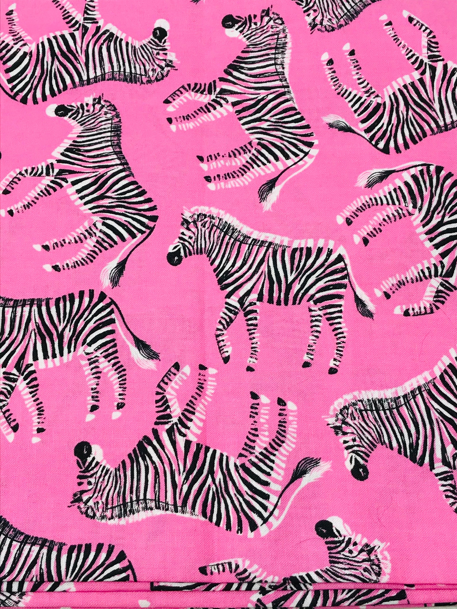 Zebra Baby Blanket Minky Baby Blanket Zoo Baby Blanket Etsy