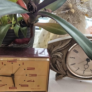 Op de afbeelding: Een rechthoekige kastanjebruine Slava-wekker met een beige wijzerplaat en rode cijfers staat naast een ronde klok met een getextureerd frame met bladmotief en een witte wijzerplaat met zwarte cijfers, bij een plant met groene bladeren.