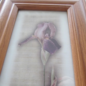 art print Vintage Framed IRIS Print, iris flower picture, vintage wall decor