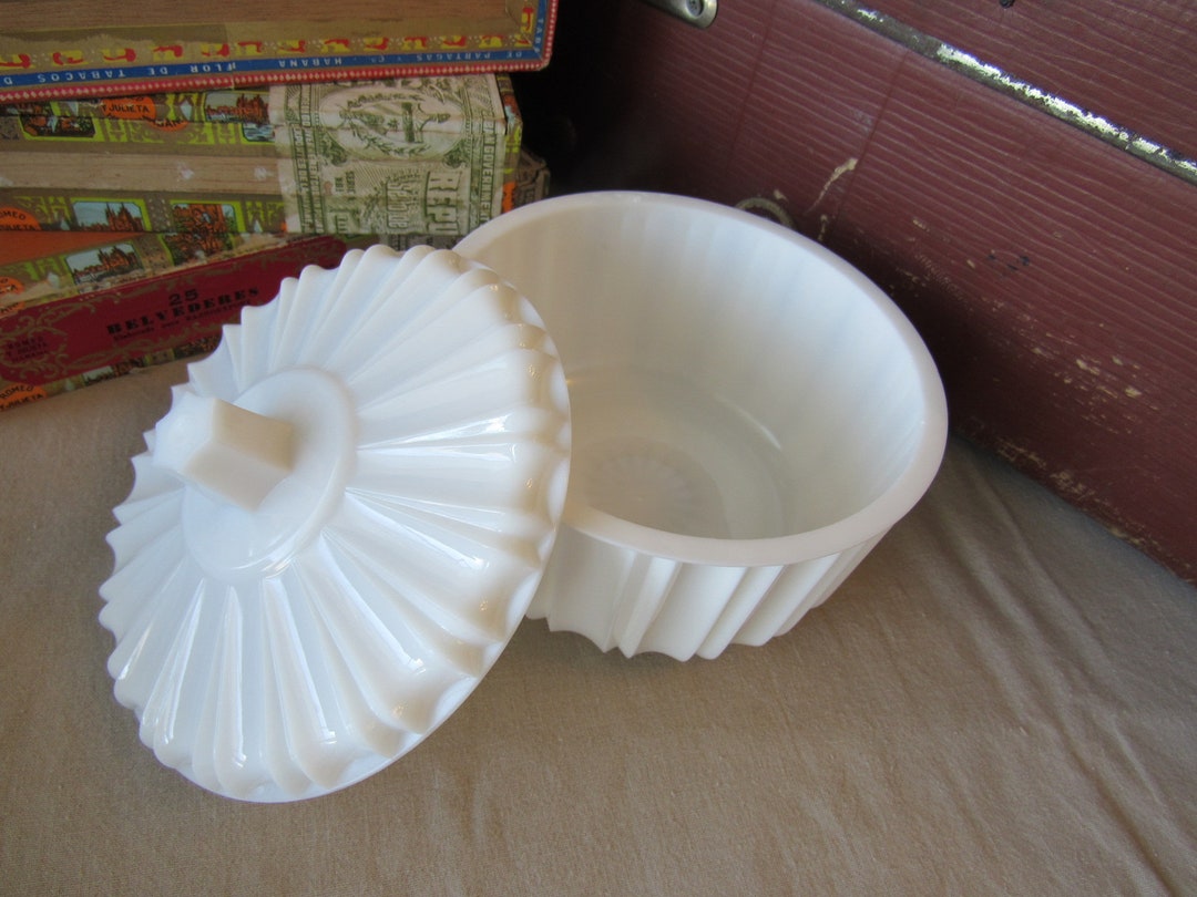 White Bowl With Lid Bright White Vintage Plastic Bowl for Cold Etsy
