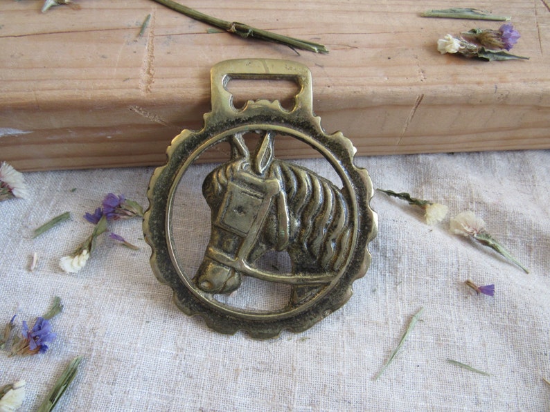 Vintage Horse brass medallion HORSE HEAD brass English martingale head cart horse Goth steampunk Horse Harness Brass from England wall decor