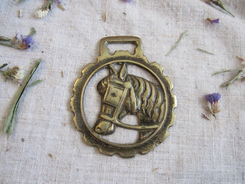 Vintage Horse brass medallion HORSE HEAD brass English martingale head cart horse Goth steampunk Horse Harness Brass from England wall decor