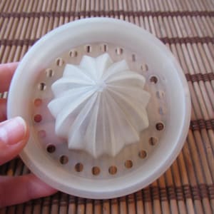 Presse-agrumes vintage : presse-agrumes en plastique blanc