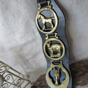 Horse Brass on Leather Harness, Set of 5, Boho Home Decor, PUB DECOR