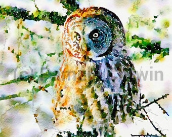 Owl watercolor: great gray owl watercolor, owl painting, owl decor, Christmas owl, great grey owl, owl art, original owl watercolor, owl