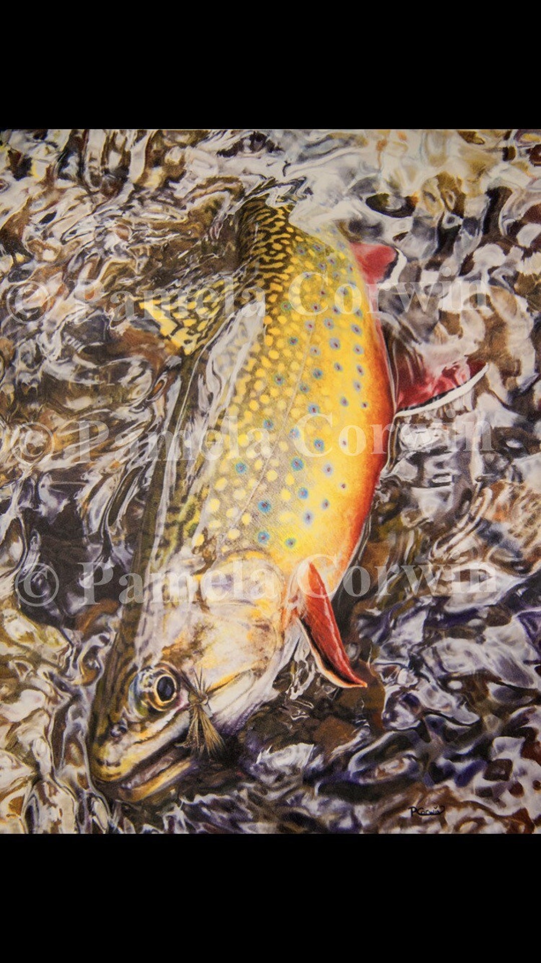 Brook Trout Brook Trout Drawing, Fly Fishing Print, Colored Pencil