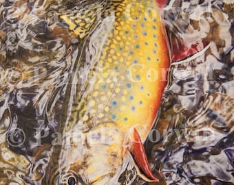 Brook Trout: brook trout drawing, fly fishing print, colored pencil trout, trout painting, spotted trout, trout art, fishing art, trout fly