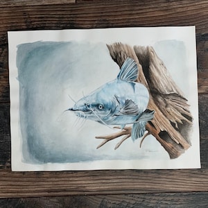 Blue catfish painting, blue cat art, blue catfish, catfish painting, catfish art, catfishing, lake art, catfish decor, catfish watercolor