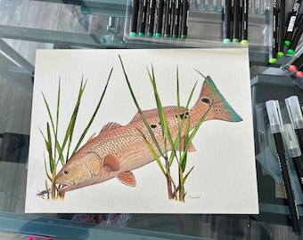 Redfish painting, redfish watercolor, red drum painting, red drum drawing, fish watercolor, original watercolor, redfish tailing, bull red