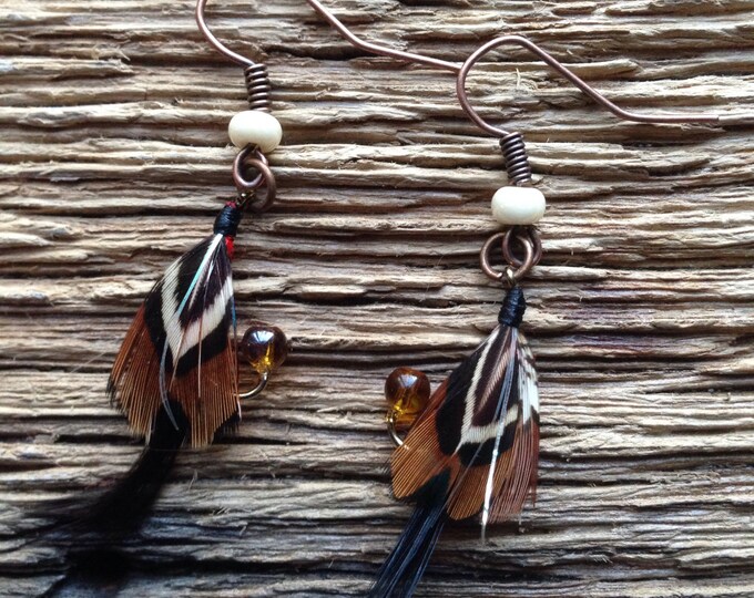 Fly Earrings Fly Fishing Trout Earrings Royal Coachmanlike Etsy