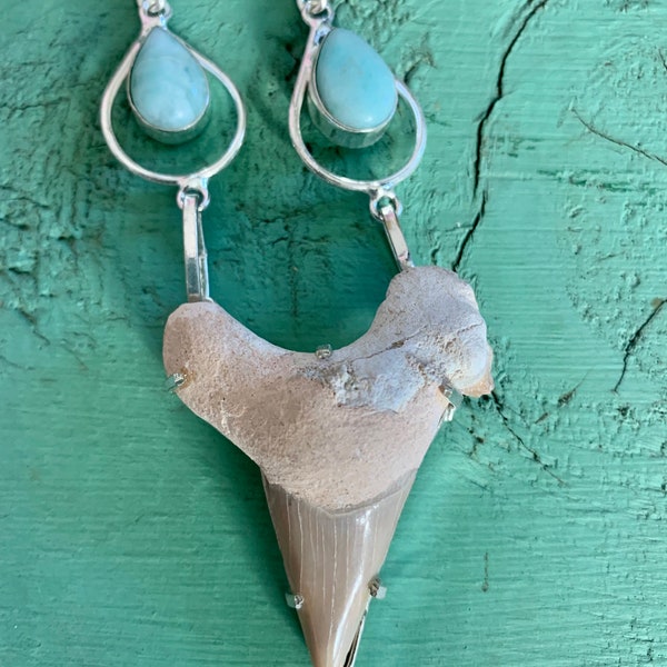 Shark tooth necklace, elegant shark jewelry, megalodon tooth, shark tooth jewelry, shark tooth choker, shark necklace, fossil necklace