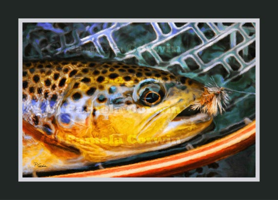 Brown Trout in Wooden Net Print: Fly Fishing Art, Brown Trout