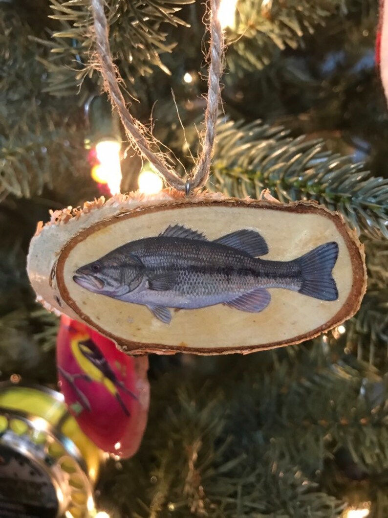 Fish ornaments redfish ornament brook trout ornament Etsy