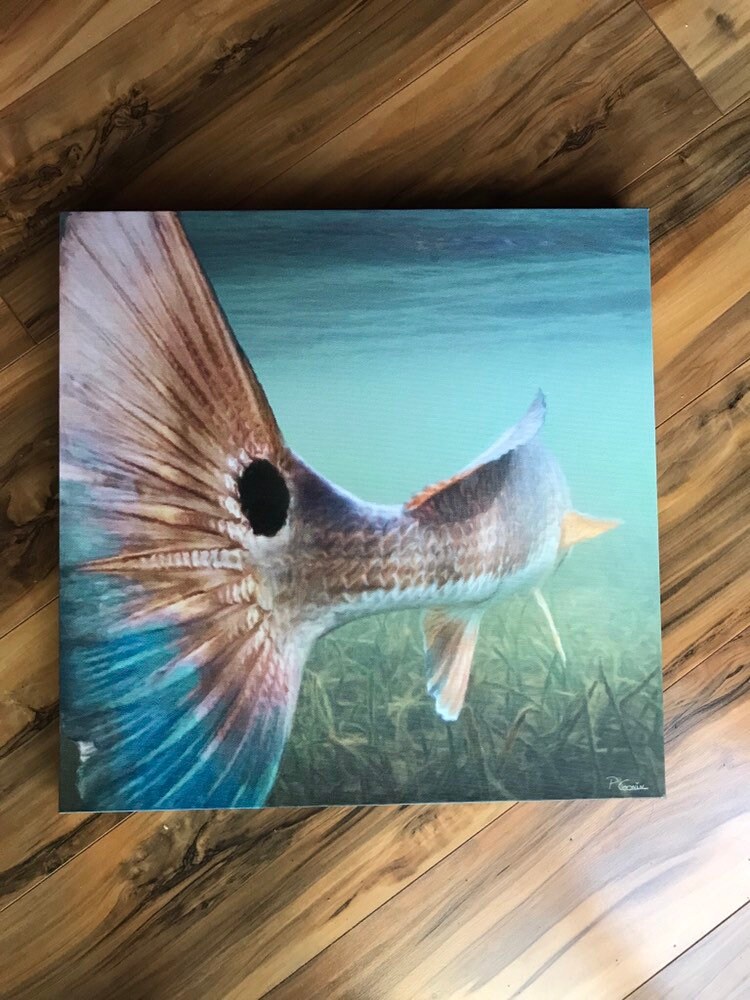 Bull Redfish Painting: Redfish Art on Canvas, Red Drum, Redfish