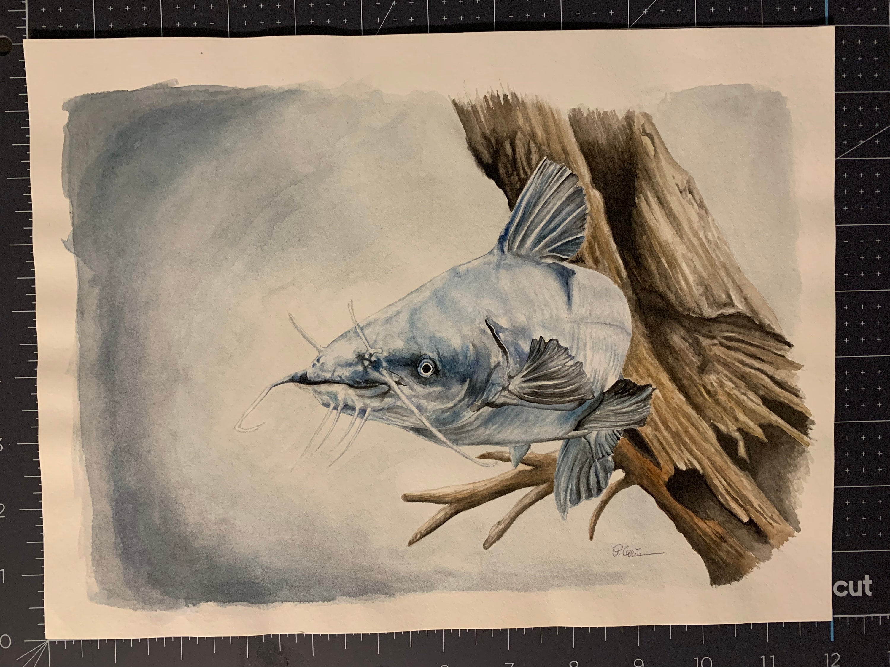 Catfish Painting