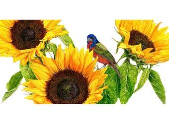 Painted bunting, sunflower watercolor, painted bunting on sunflower, sunflower painting, sunflower wall decor, painted bunting art, bird art