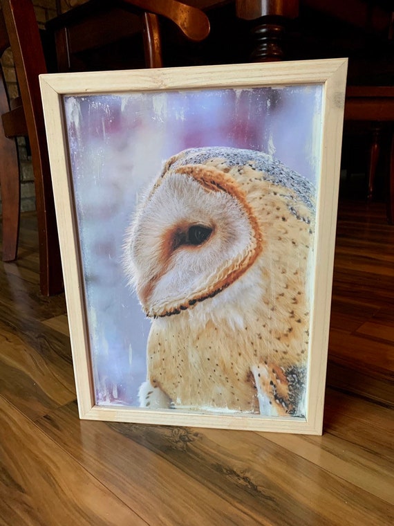 Barn Owl Art Owl Sign Halloween Owl Halloween Sign Owl Etsy